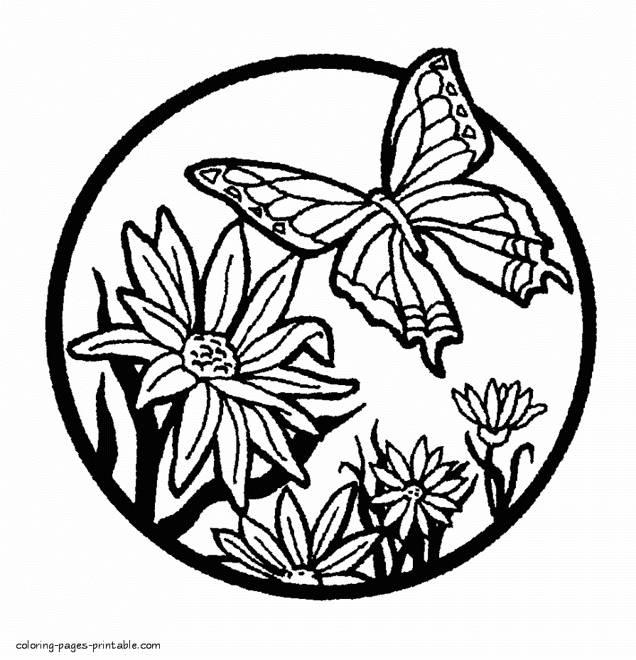 Free coloring pages flowers and butterflies for children