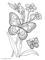 Flowers And Butterflies Coloring Pages / Roses, daisies, tulips and