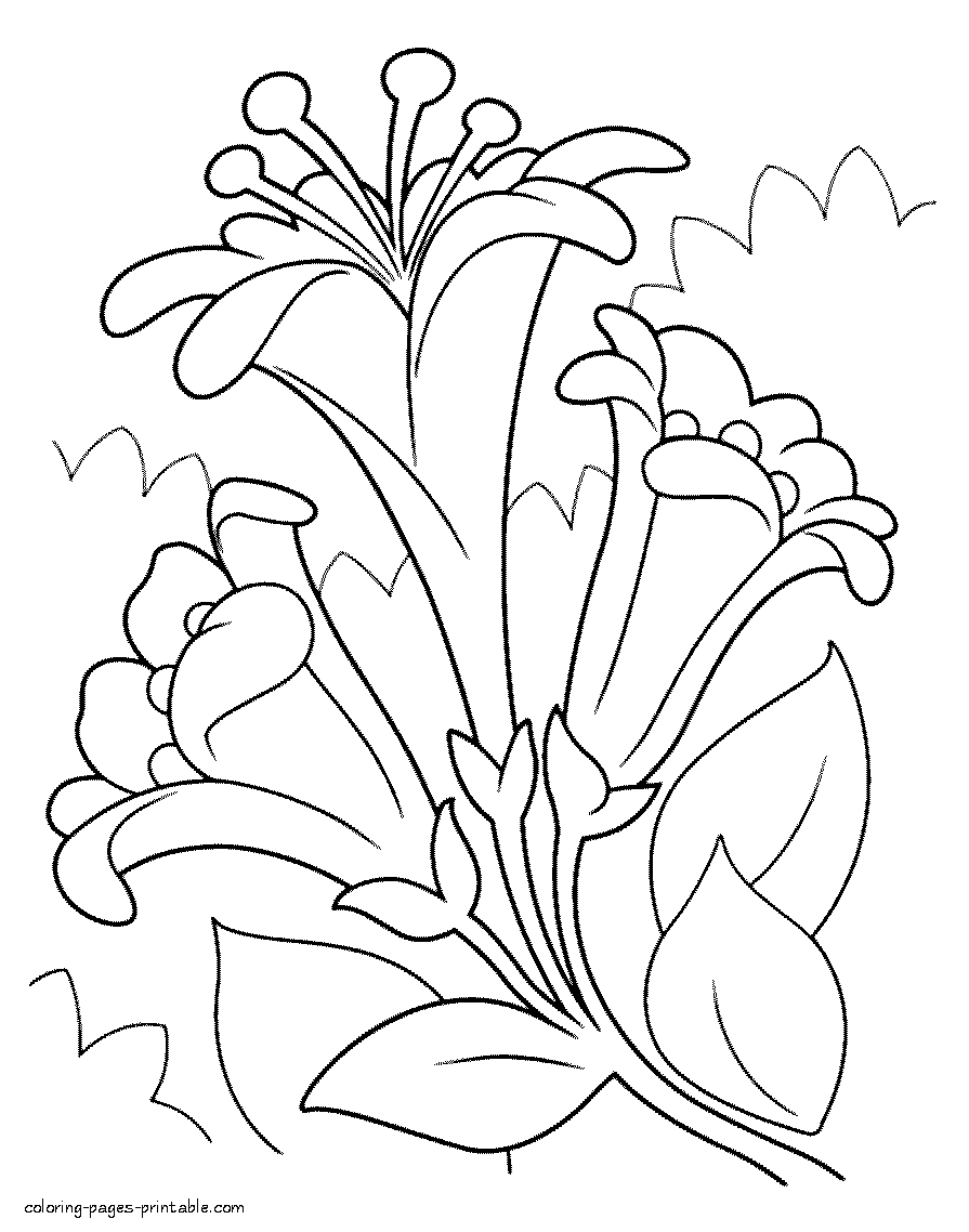 Easter Lilies coloring pages for spring holidays