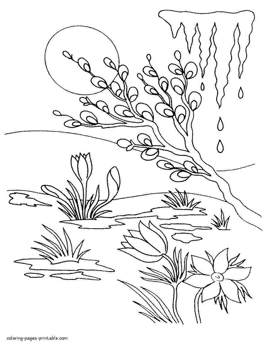 Early spring coloring page. First flowers