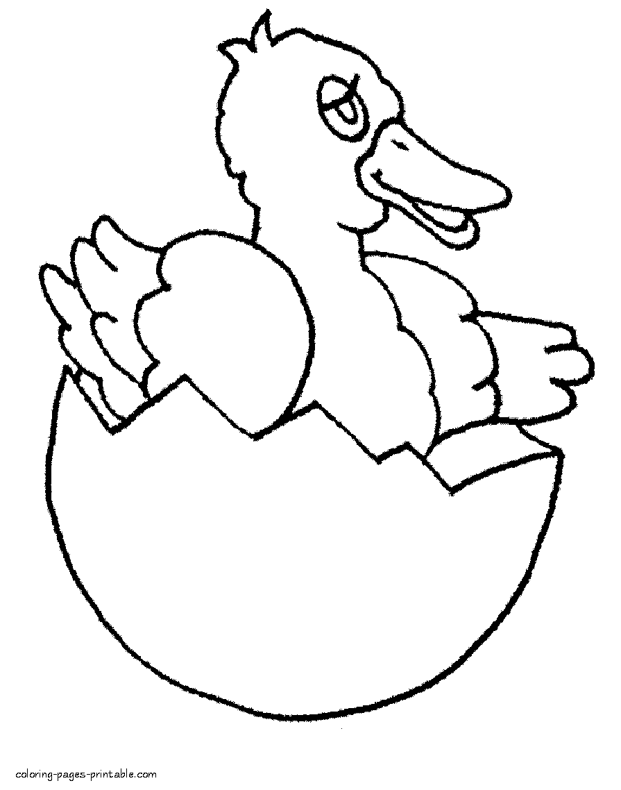 Duck Hatching coloring pages of spring