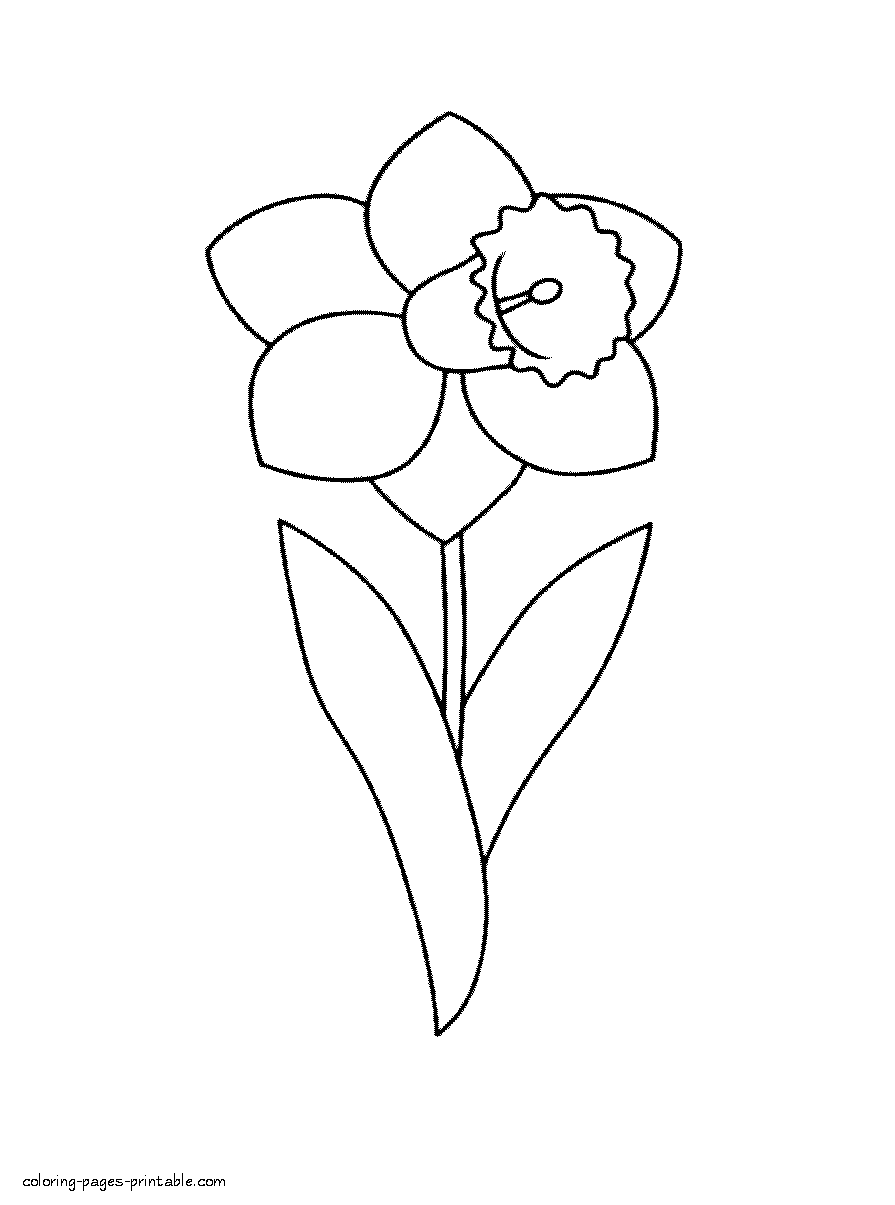 Spring flower daffodil. Coloring page