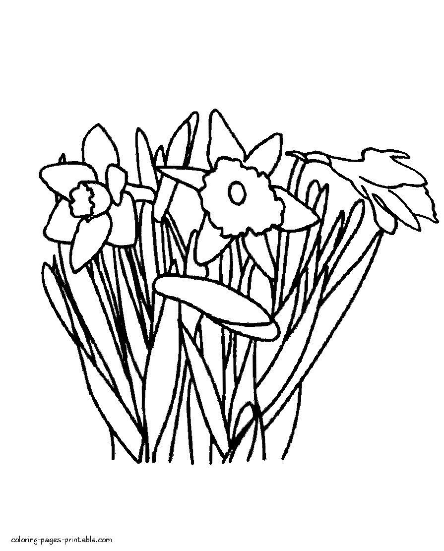 Spring flower coloring sheets printable