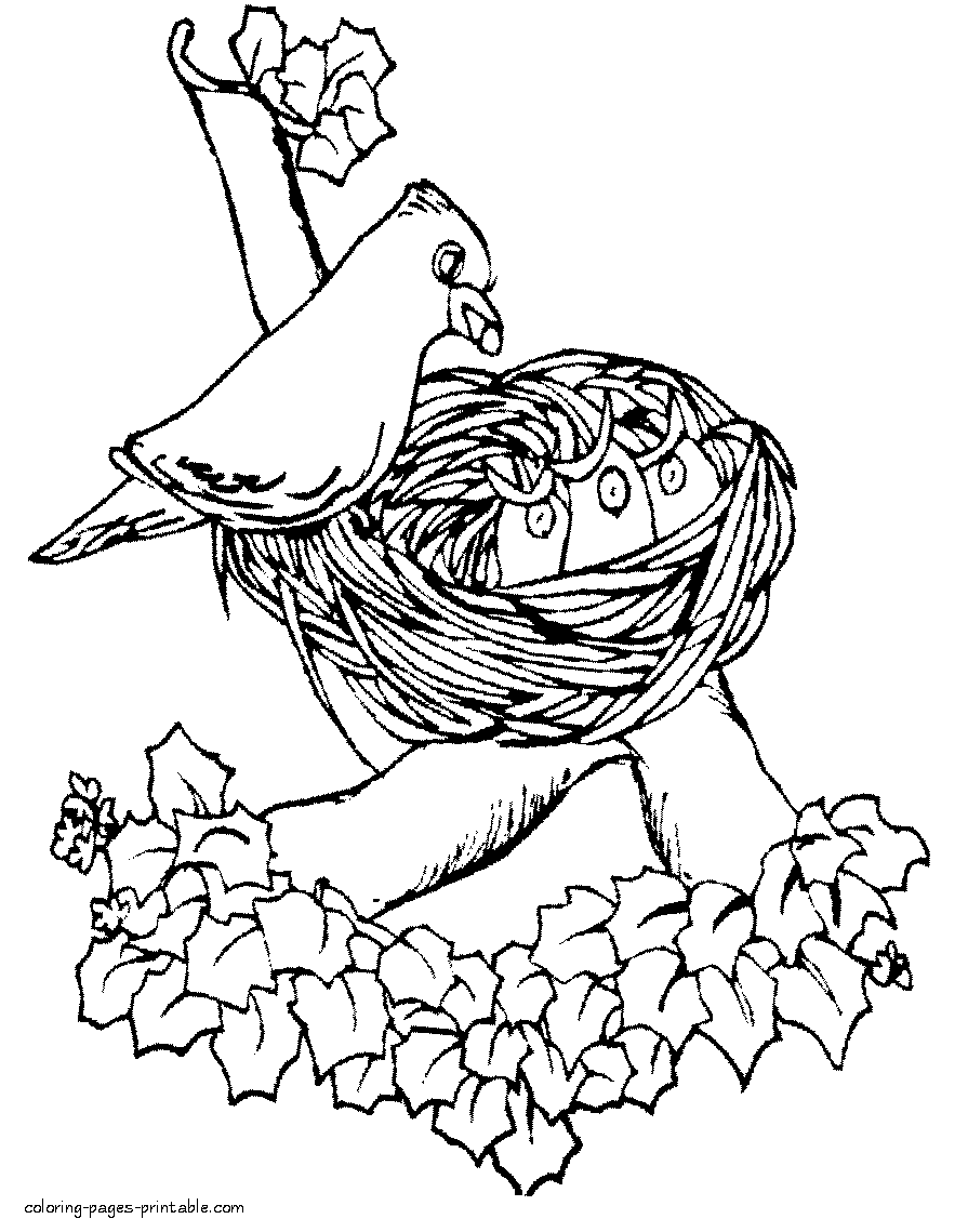 Bird feeding chicks in the nest. Spring scene coloring pages