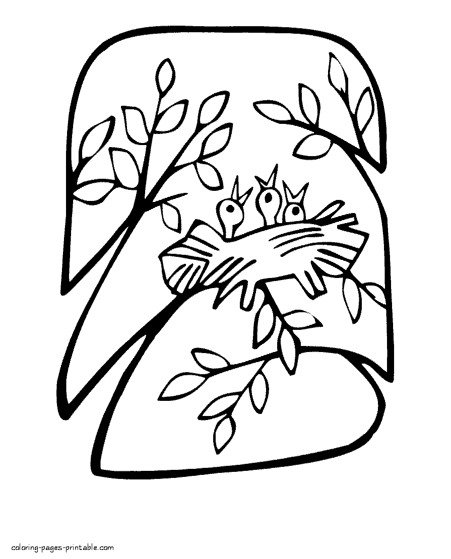 Free spring coloring pages. Birds nest