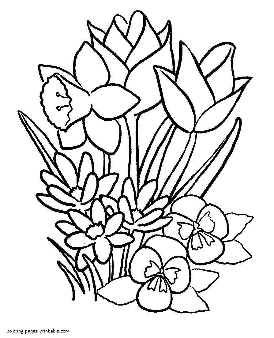 Coloring pages of spring flowers for printing