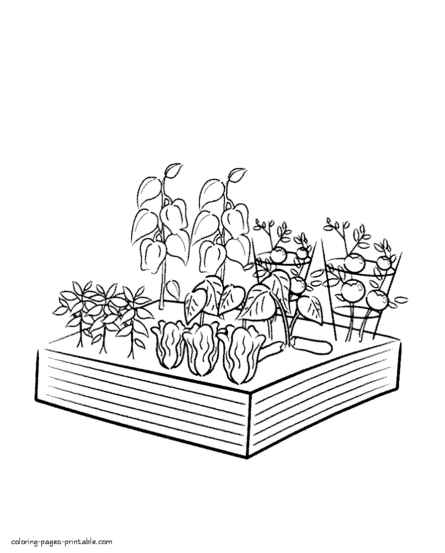 Free coloring pages for spring. Garden