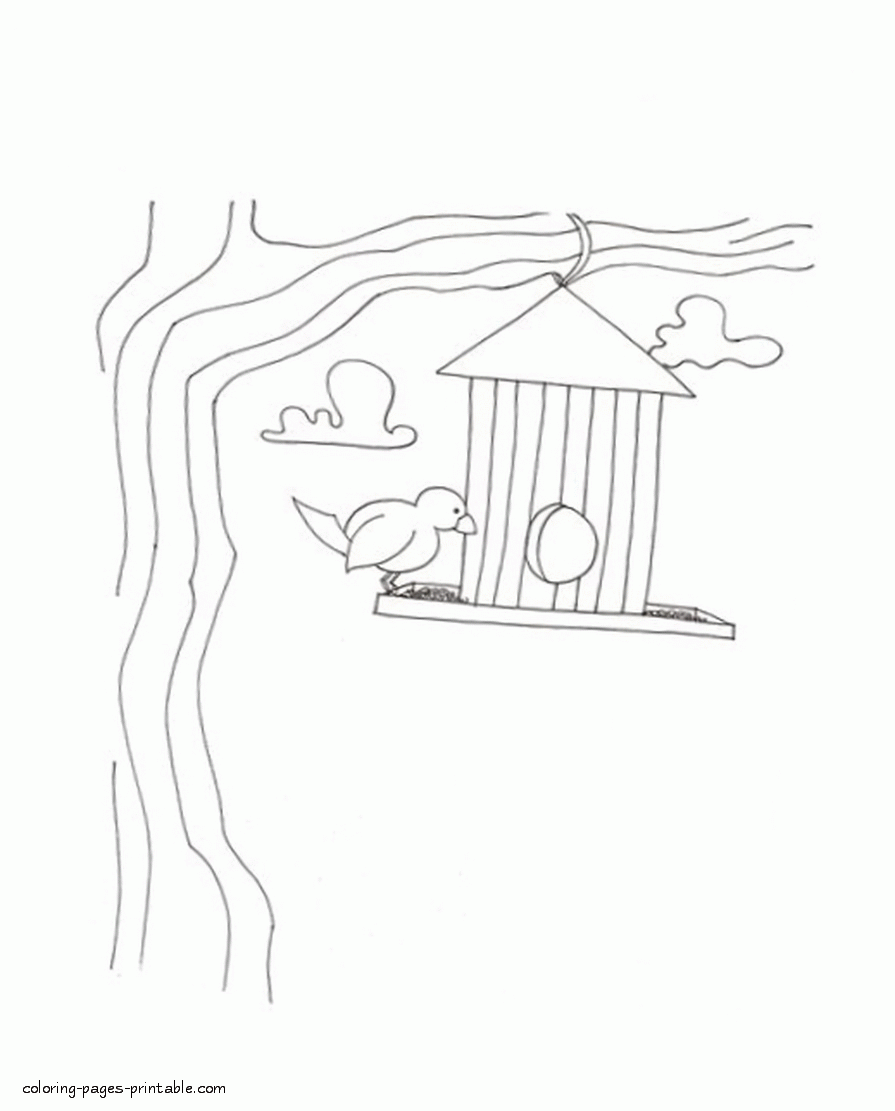 Nesting box coloring page. The arrival of spring