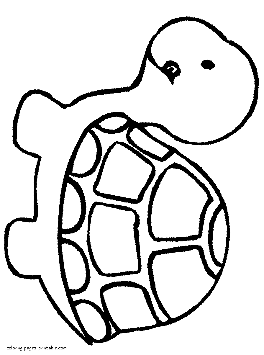 Zoo coloring pages for preschoolers. Turtle