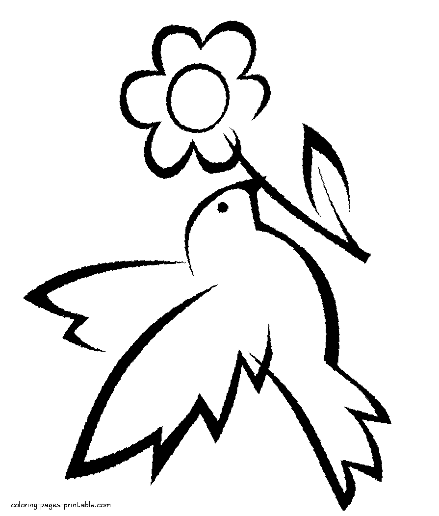 Dove with a flower - coloring page for kindergarten