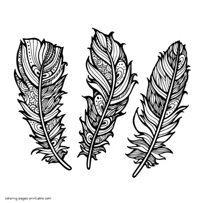 Adult Coloring Pages To Print. Abstract Feathers