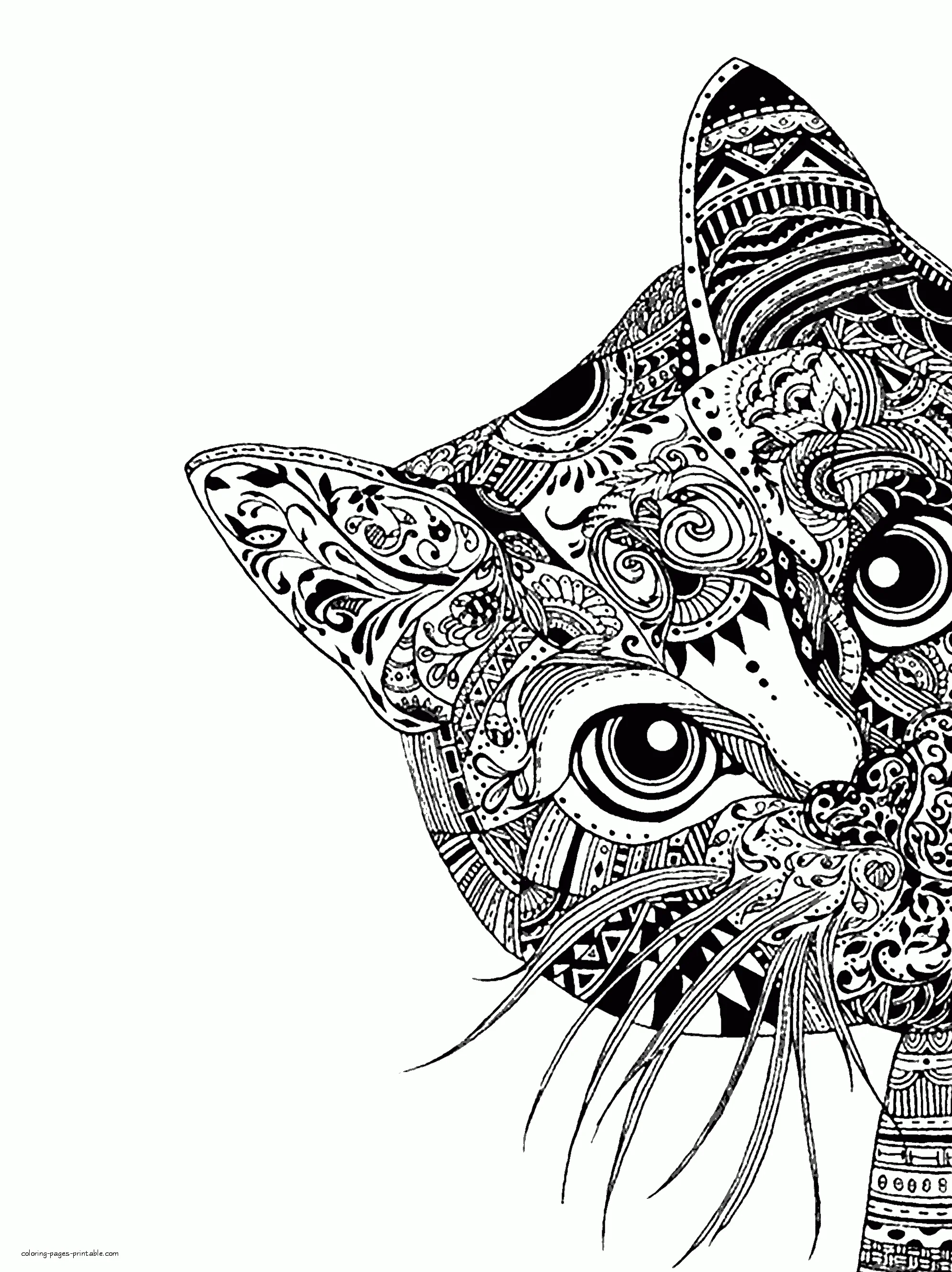 Animal Face Coloring Pages. A Cat Difficult Animal Face Coloring Pages. A Cat