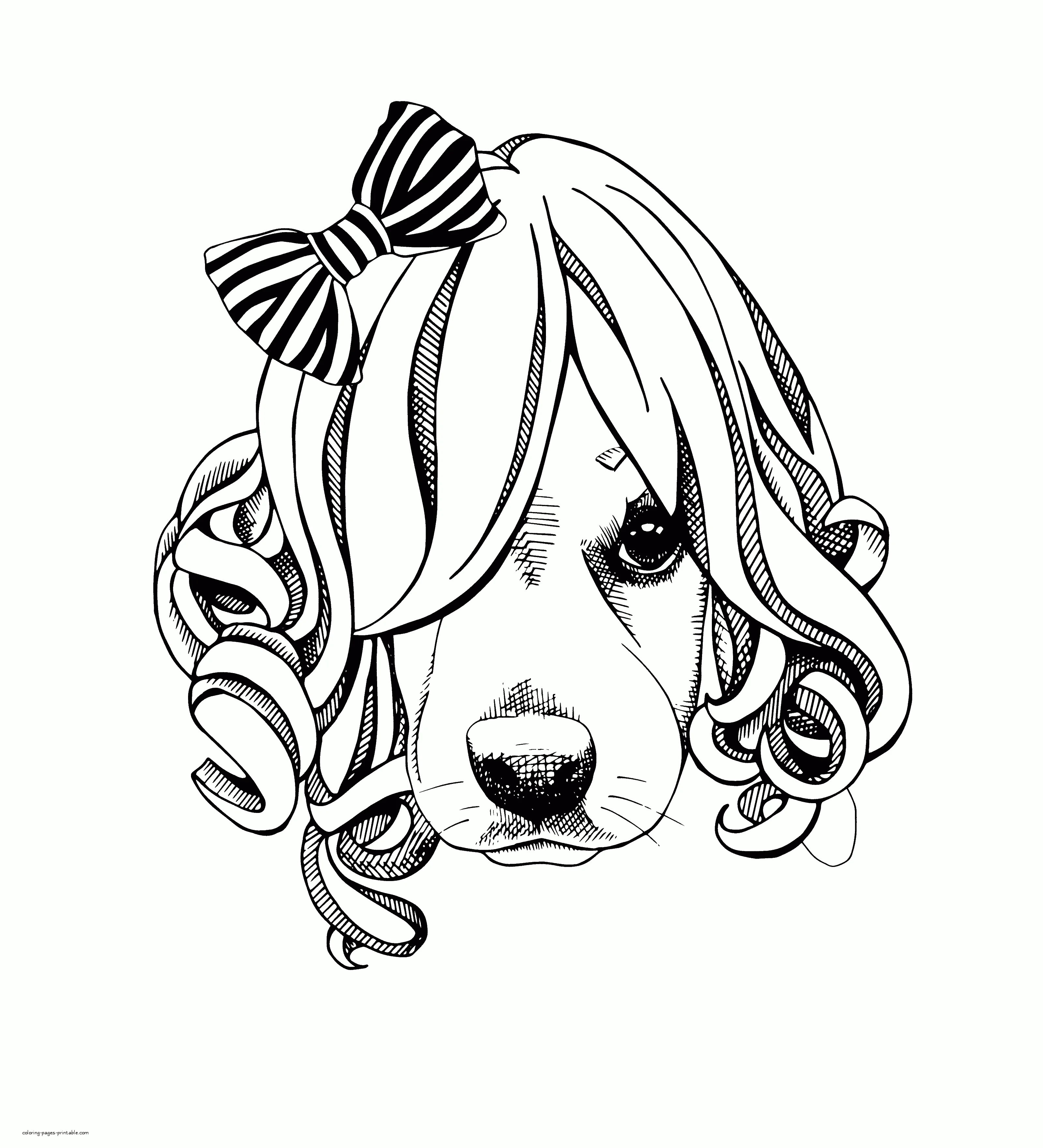 Dog Face Coloring Page Dog Face Coloring Page. Animal Pictures For Adults