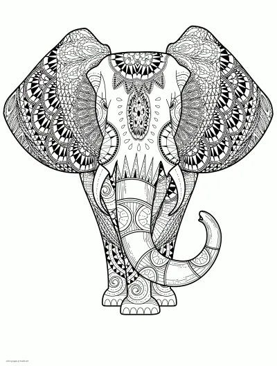 Cute Elephant. Adult Coloring Pages