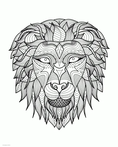 Hard Lion Coloring Page. Animal Colouring Book