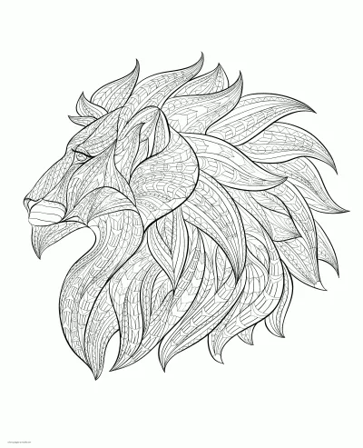 Lion Coloring Pages For Adults printable. Lion Head