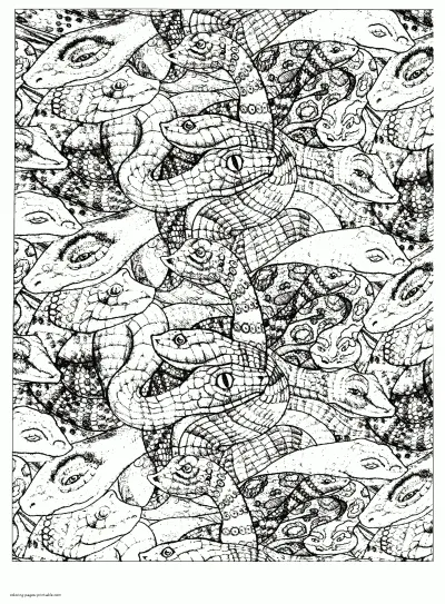 Adult Animal Coloring Pages. Snakes To Print And Color