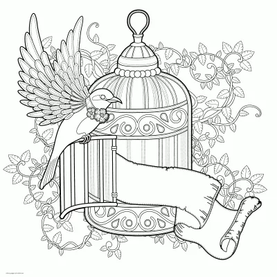 Free Adult Coloring Sheets. Bird Of Paradise