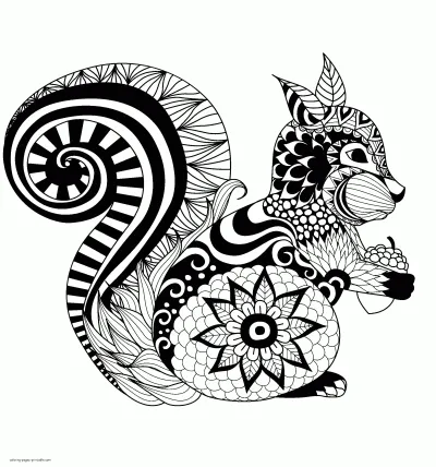 Squirrel. Adult Animal Coloring Sheets To Print
