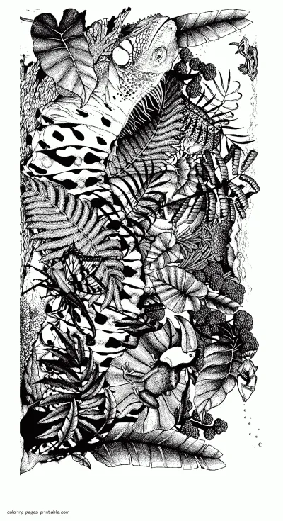 Insects Printable Coloring Pages For Adults