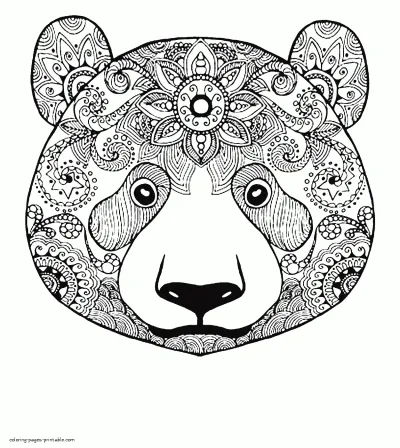 Bear Face Adult Coloring Page For Free
