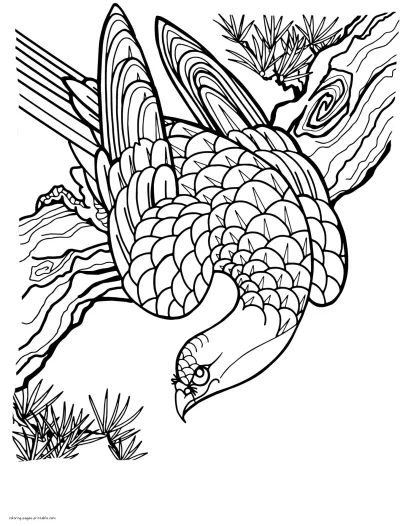 Birds Of Prey Coloring Printable Pages For Adults