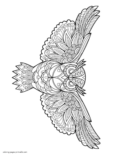 Downloadable Bird Coloring Book For Adults. Flying Owl