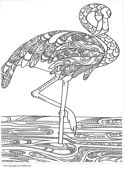 Flamingo Coloring Page For Adults. Birds