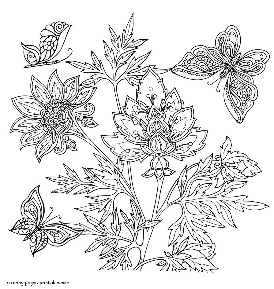 Beautiful Coloring Pages For Adults Beautiful Coloring Pages For Adults. Flower And Butterflyes