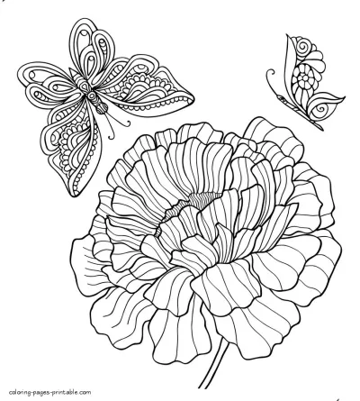 2 Butterflies And A Flower Coloring Page For Adults