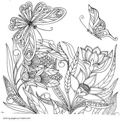 Butterfly Coloring Pictures For Adults. Printable And Free