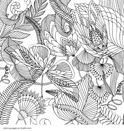 Butterflies And Caterpillar Coloring Page For Adults