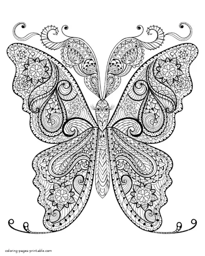 Adult Butterfly Coloring Book Free