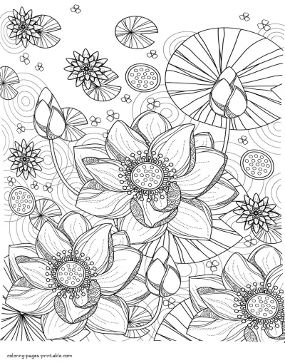 Water Lily Coloring Page Printable