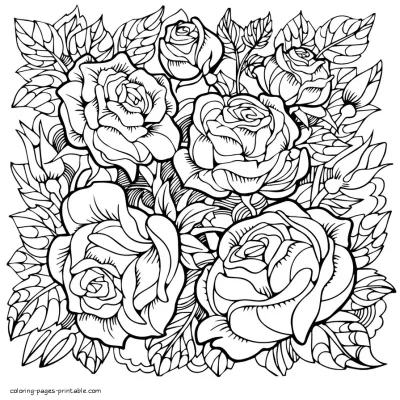 Rose Flower Coloring Pages For Grown-up People