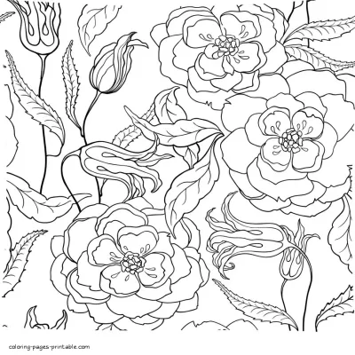 Free Printable Flower. Adult Colouring Pages