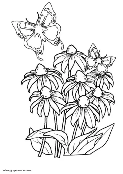 Butterfly and flowers colouring page