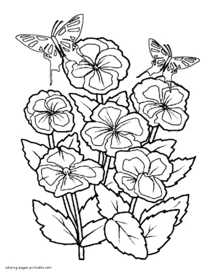 Butterfly coloring sheets to print