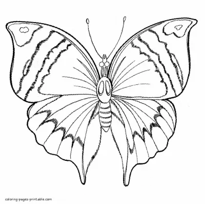 Kids butterfly colouring sheet