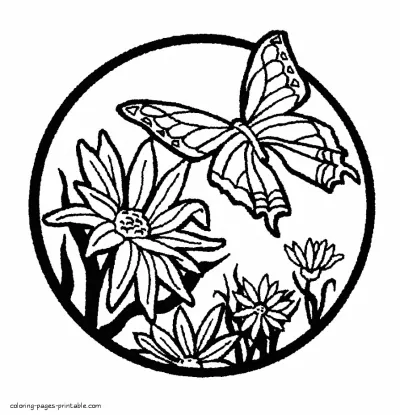 Free coloring pages flowers and butterflies for childre