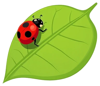 Insect coloring pages that you can print