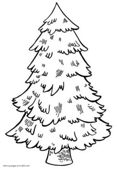 Not decorated Christmas tree. Coloring pages for printing