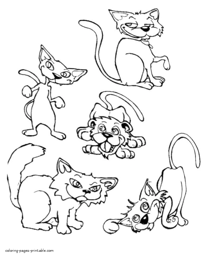One dog and four cats. Colouring pages One dog and four cats. Colouring pages for kids