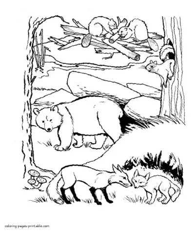 Forest animals coloring page for children