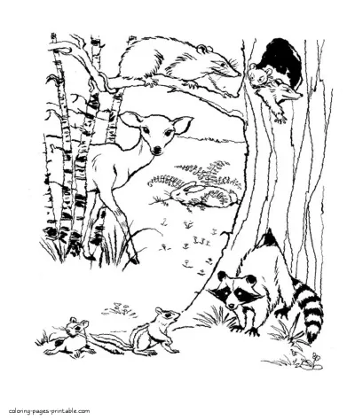 Wild animals printable coloring sheet