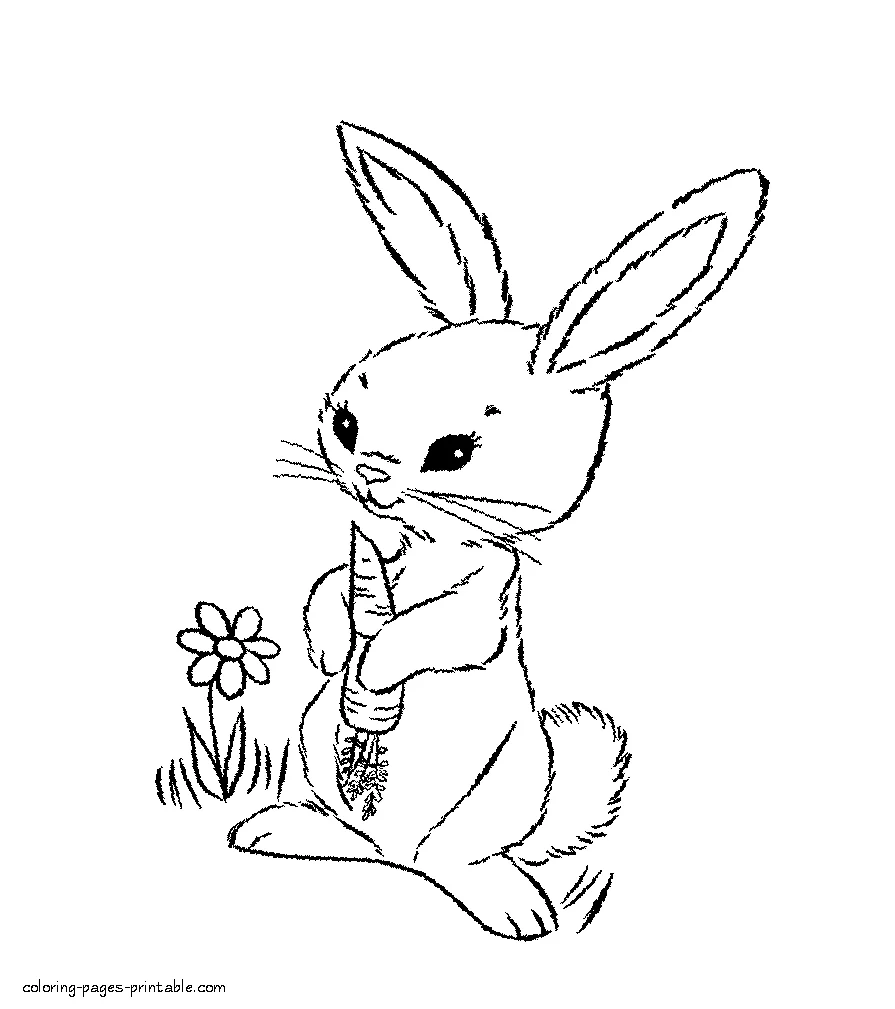 Rabbit with a carrot coloring Rabbit with a carrot coloring sheet