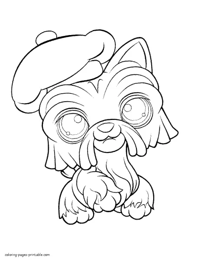 Littlest pet shop dog coloring pages. For girls