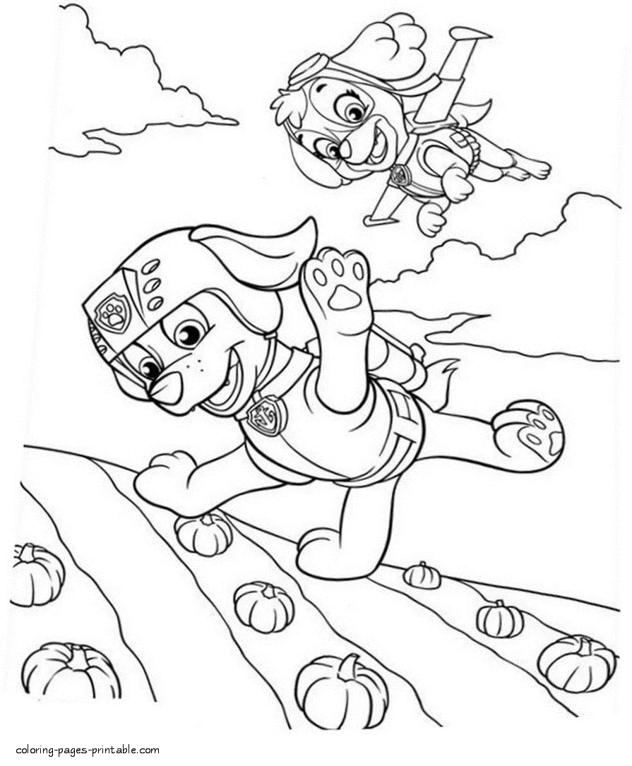 Free printable coloring pages Paw Patrol. Zuma and Skye Free printable coloring pages Paw Patrol