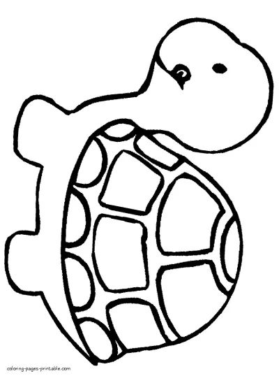Zoo coloring pages for preschoolers. Turtle
