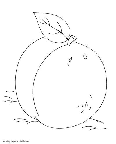 Toddler coloring book. Fruits & vegetables pictures - Apricot